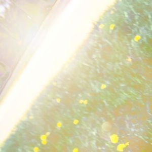 Meet your Posher, Miranda